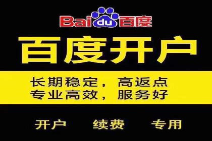 SEM竞价优化实战案例：精准定位目标客户